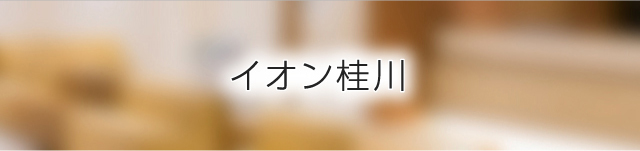 イオン桂川